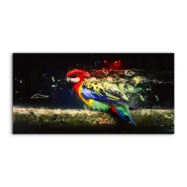 fotoobraz-akryl-140x70-cm-papuga-abstrakcja-plaza
