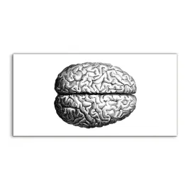 fotoobraz-140x70-na-prezent-mozg-anatomia-vintage