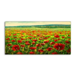 fotoobraz-140x70-wiszacy-pole-maki-zachod-slonca