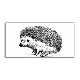 obraz-akrylowy-140x70-z-grafika-jez-zwierze-sztuka