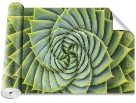 tapeta-samoprzylepna-aloes-symetria-416x254