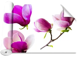 tapeta-samoprzylepna-kwiaty-magnolii-416x254