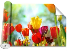 tapeta-samoprzylepna-kwiaty-tulipany-416x254