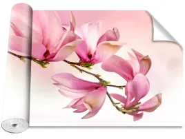 tapeta-samoprzylepna-magicstick-magnolia-416x254