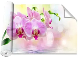 tapeta-samoprzylepna-orchidea-roz-416x254