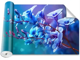 tapeta-samoprzylepna-orchidea-niebieski-416x254