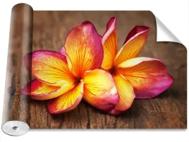 tapeta-samoprzylepna-plumeria-drewno-416x254