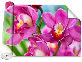 tapeta-samoprzylepna-rozowe-orchidee-416x254