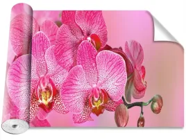 tapeta-samoprzylepna-rozowy-orchidea-416x254