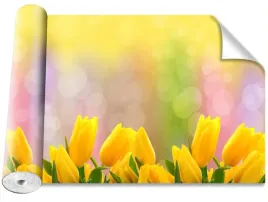 tapeta-samoprzylepna-tulipany-zolty-416x254
