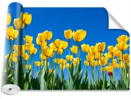 tapeta-samoprzylepna-tulipany-kwiaty-416x254
