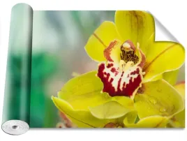 tapeta-samoprzylepna-zolta-orchidea-416x254