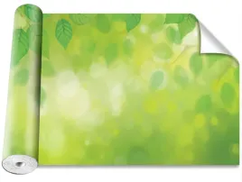 tapeta-samoprzylepna-zielone-liscie-416x254