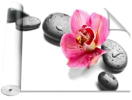 tapeta-okleina-orchidea-kamienie-416x254