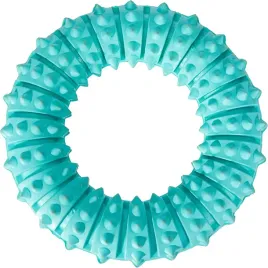 gryzak-dla-psa-denta-fun-ring-guma-naturalna-12-cm-mietowy-swiezy