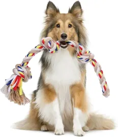 sznurek-bawelniany-dla-psa-53-cm-wytrzymaly-gryzak-do-czyszczenia-zebow