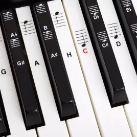 naklejki-na-klawisze-pianina-keyboard-49-88-zestaw