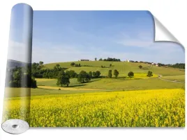 fototapeta-magicstick-kwitnaca-soczewica-416x254