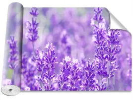 fototapeta-magicstick-lawenda-fioletowy-416x254