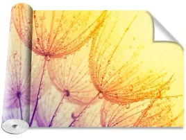 fototapeta-magicstick-dmuchawiec-slonce-416x254