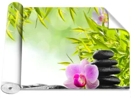 fototapeta-magicstick-bambus-i-orchidea-416x254