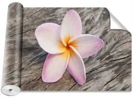 fototapeta-magicstick-frangipani-drewno-416x254