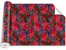 fototapeta-magicstick-monstera-dziurawa-416x254