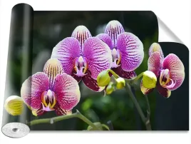 fototapeta-magicstick-orchidea-fioletowy-416x254