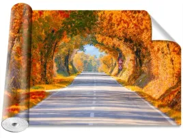 fototapeta-samoprzylepna-droga-jesienia-416x254