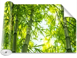 fototapeta-samoprzylepna-galaz-bambus-416x254