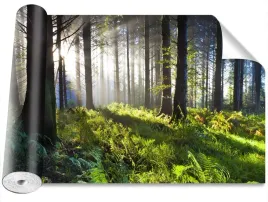 fototapeta-samoprzylepna-drewno-slonce-416x254