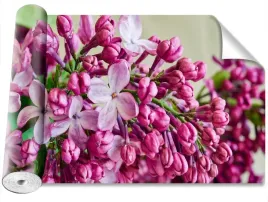 fototapeta-samoprzylepna-lilie-rozowy-416x254