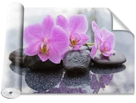 fototapeta-magicstick-orchidea-kamienie-416x254