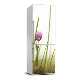 okleina-naklejka-fototapeta-lodowke-szczypiorek