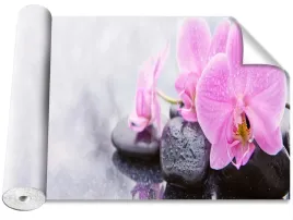 fototapeta-magicstick-orchidea-kamienie-416x254
