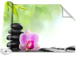 fototapeta-magicstick-orchidea-kamienie-416x254