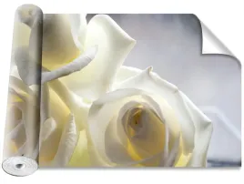 fototapeta-samoprzylepna-biale-roze-416x254
