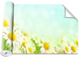 fototapeta-magicstick-rumianek-niebieski-416x254