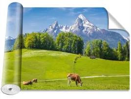 fototapeta-samoprzylepna-alpy-krowy-416x254