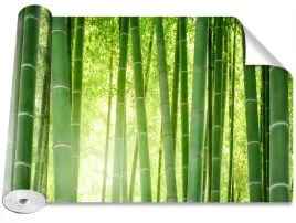 fototapeta-samoprzylepna-bambusowy-las-416x254