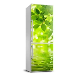 okleina-naklejka-tapeta-lodowke-liscie-70x190