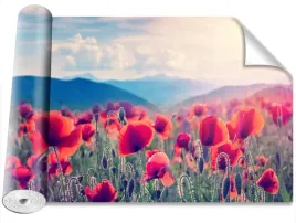 fototapeta-samoprzylepna-kwiaty-maku-416x254