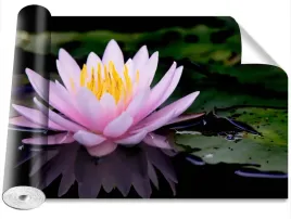 fototapeta-samoprzylepna-lotos-rozowy-416x254