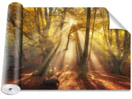 fototapeta-samoprzylepna-magiczny-las-416x254