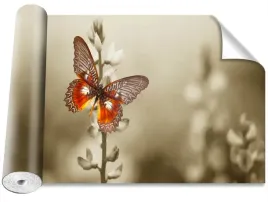 fototapeta-samoprzylepna-motyl-kwiaty-416x254