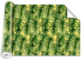 fototapeta-samoprzylepna-palma-monstera-416x254