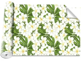 fototapeta-samoprzylepna-plumeria-kwiaty-416x254