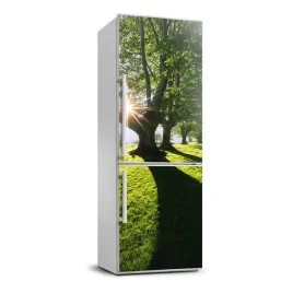 naklejka-fototapeta-na-lodowke-krajobrazy-park