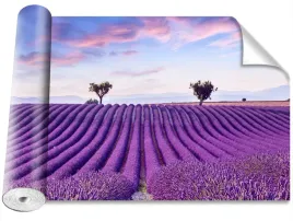 fototapeta-samoprzylepna-pole-lawendy-416x254
