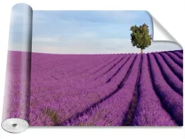 fototapeta-samoprzylepna-pole-lawendy-416x254